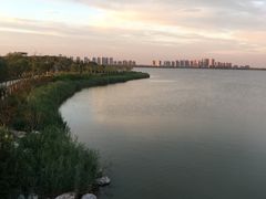 -天津东丽湖风景区