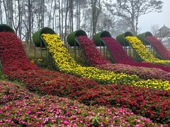 -广州市石门国家森林公园