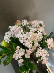 -宸山医美·变美艺术馆