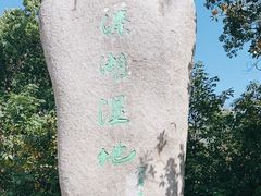 -溱湖国家湿地公园