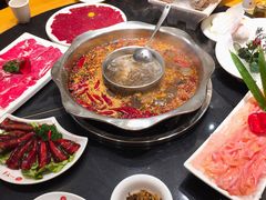 鸳鸯锅-一斗火锅·招财羊毛肚(北温泉九号店)
