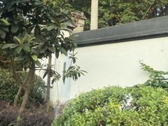 -苏州上方山国家森林公园