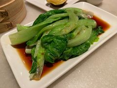 -金鼎轩(方庄天坛店)