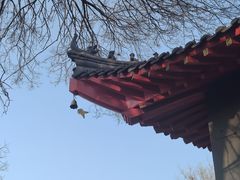 -哈尔滨极乐寺