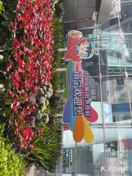 南宁吴圩国际机场-T2航站楼图片