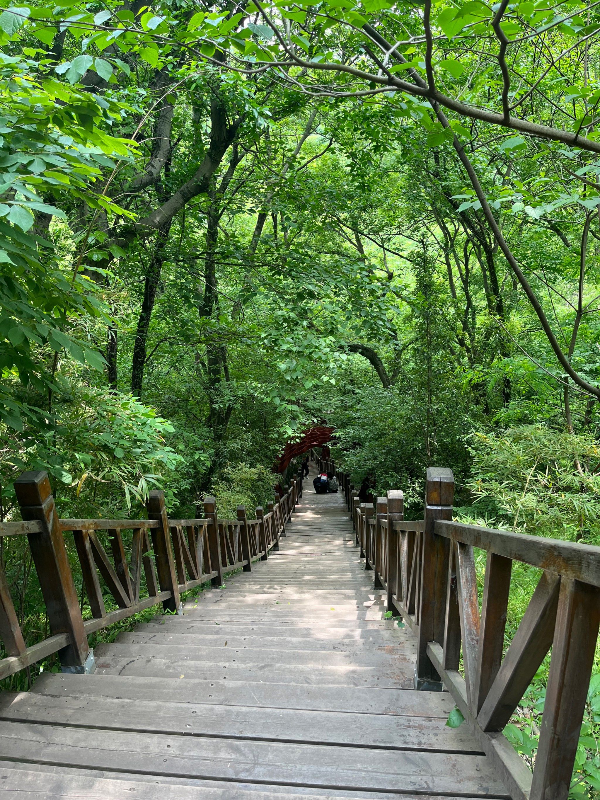 五一去的盱眙铁山寺森林公园,第一次去不知道好不好玩,抱着期待的心就