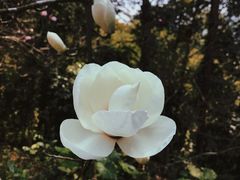 -广州市流溪河国家森林公园