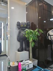 -AYO SALON