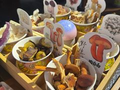 -菌自由丨野生菌火锅特色庭院餐厅(丽江古城店)