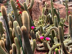 -南通洲际绿博园