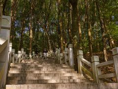-灵岩山风景区