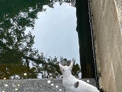 -宽尺巷鱼蛙自助火锅(虎丘钻石广场店)