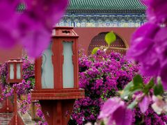 -天坛公园