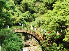 -天台山琼台仙谷景区