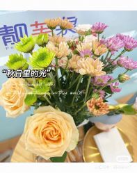 -靓芙泉祛痘.科技美肤连锁