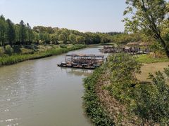 -上海长兴岛郊野公园