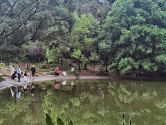 -深圳国际园林花卉博览园