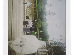 -音乐台
