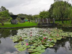 -宁波九龙湖开元度假村