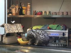 -小时光咖啡馆(北锣鼓巷店)