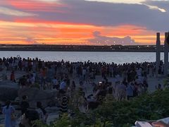 -宝安西湾红树林湿地公园