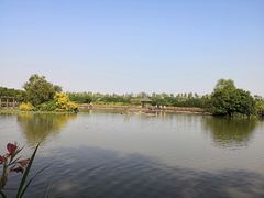 -大湾区中央湿地公园