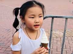 -富豪雪糕车流动点(尖沙咀店)