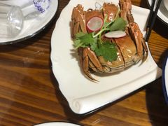 -呼吸森林·生态农庄农家乐私房菜