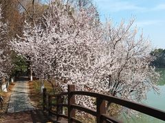 -苏州太湖国家湿地公园