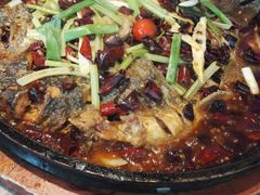 老板恋上鱼-老板恋上鱼(恒隆广场店)