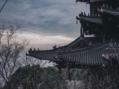 -杭州半山国家森林公园