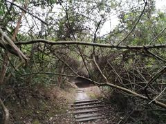 -广州市帽峰山景区