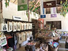 -大象粑粑造纸公园