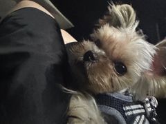 -FAELING PETS美天灵宠物(富力广场店)
