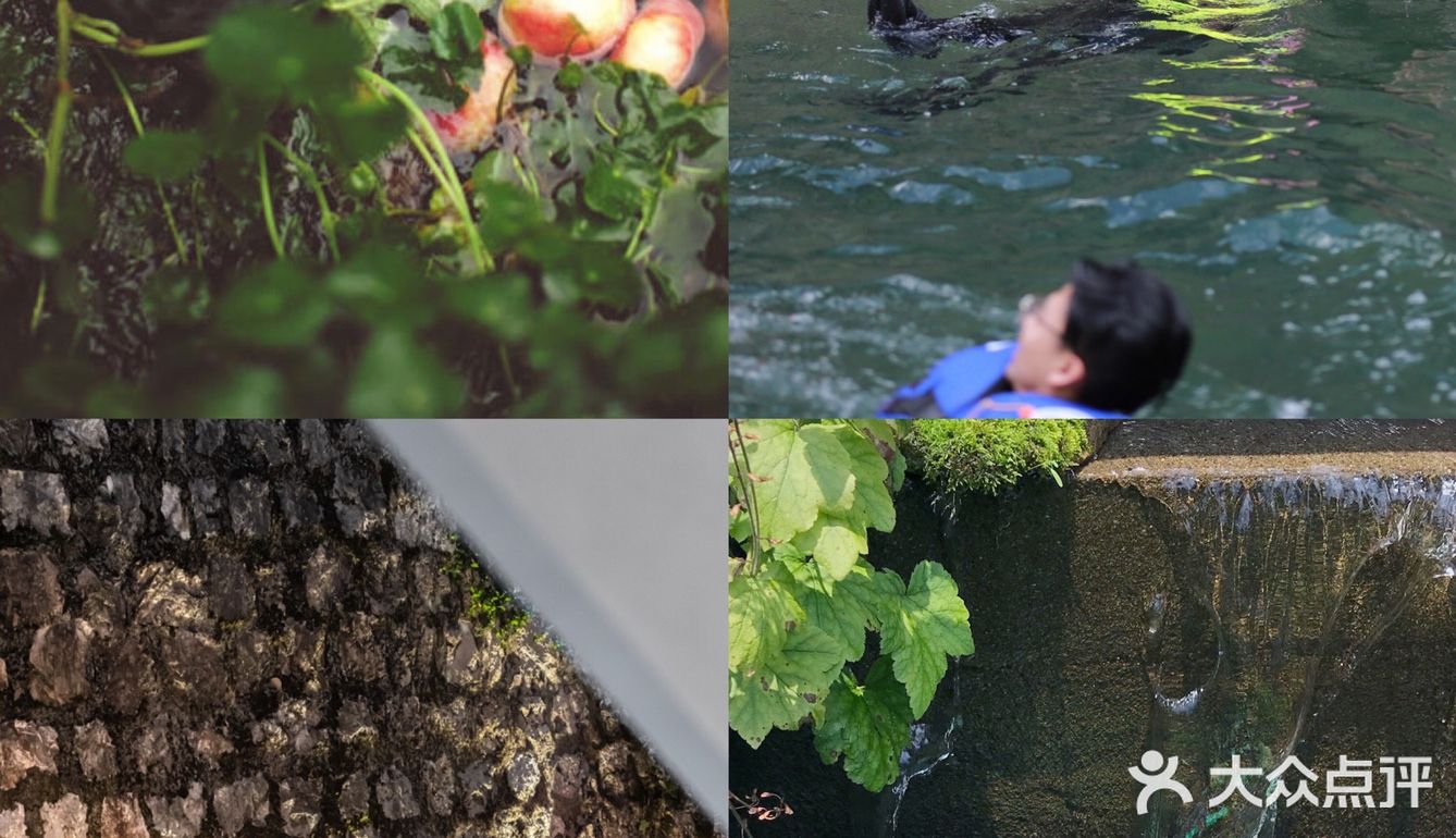 溪林里的夏天🍉五星玩水地💦上海1h直达