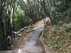 -广州市帽峰山景区