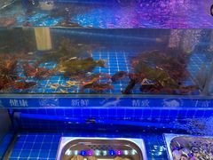 -银鲨海鲜烤肉火锅自助餐厅(五星店)