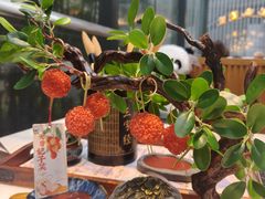 -唐猫庭院·千年陕菜(大唐不夜城店)