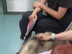 -动物缘宠物医院·骨科·猫科(西二环店)