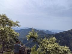 -莫干山风景区