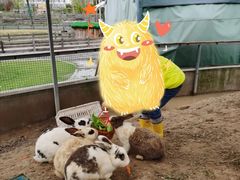 -前小桔亲子创意农场·草莓采摘·露营烧烤