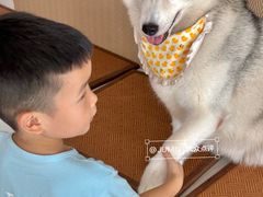 -星多哈·狗咖·拼豆·咖啡