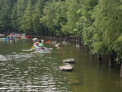-广州市帽峰山景区