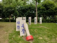 -陈家山荷花公园