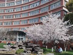 -叶家花园