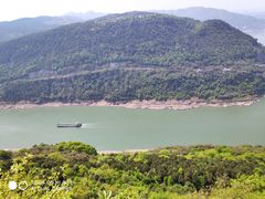 -铁山坪森林公园