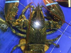 -山东八大碗山东老字号