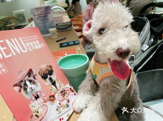 魔都专为狗狗服务的宝藏餐厅