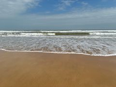 -日照海滨国家森林公园