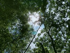 -呀诺达热带雨林